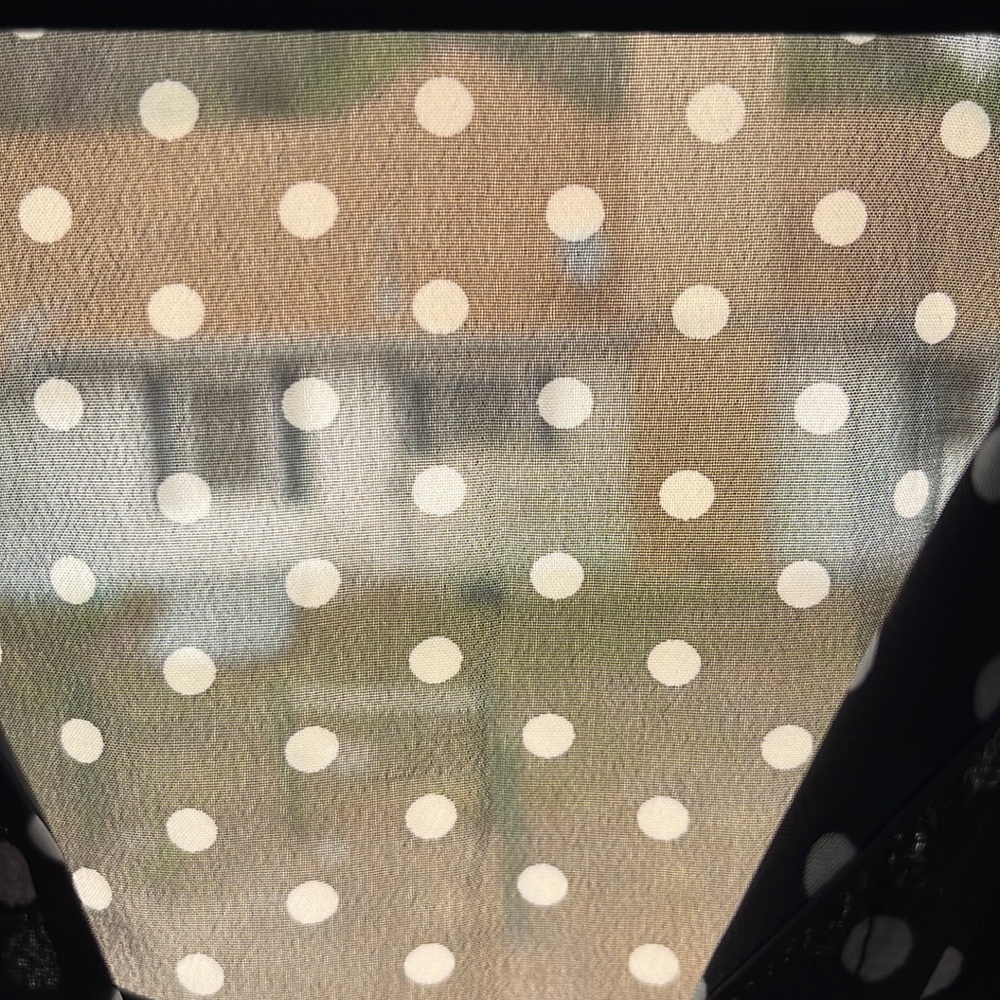 Rue 21 sheer polkadot mini dress. With breasted pleats and spandex slip attached
